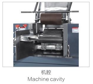 實(shí)用型直聯(lián)式切粒機(jī) - 機(jī)腔